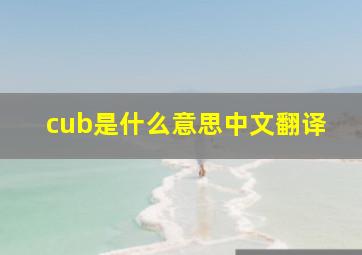 cub是什么意思中文翻译