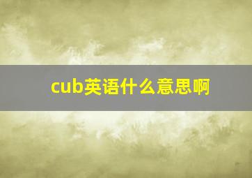 cub英语什么意思啊