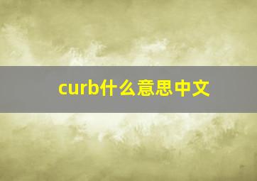 curb什么意思中文