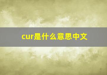 cur是什么意思中文