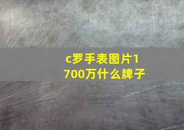 c罗手表图片1700万什么牌子