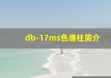 db-17ms色谱柱简介