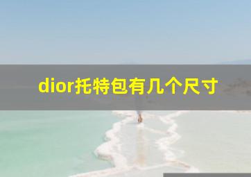 dior托特包有几个尺寸