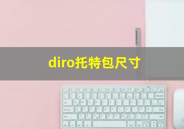 diro托特包尺寸