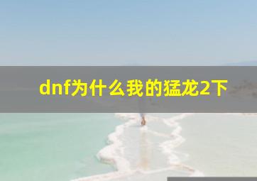 dnf为什么我的猛龙2下