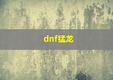 dnf猛龙