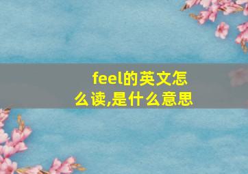 feel的英文怎么读,是什么意思