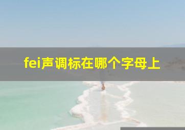 fei声调标在哪个字母上