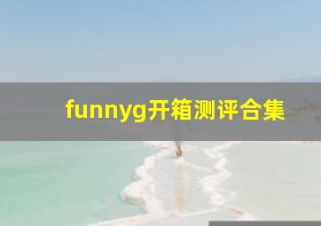 funnyg开箱测评合集