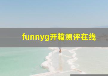 funnyg开箱测评在线