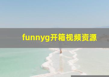 funnyg开箱视频资源