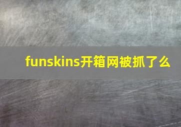 funskins开箱网被抓了么