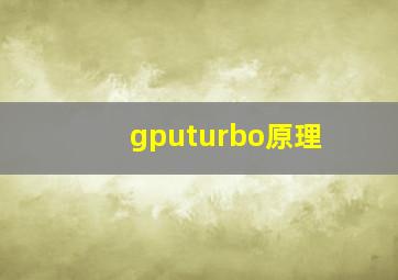 gputurbo原理