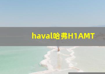 haval哈弗H1AMT