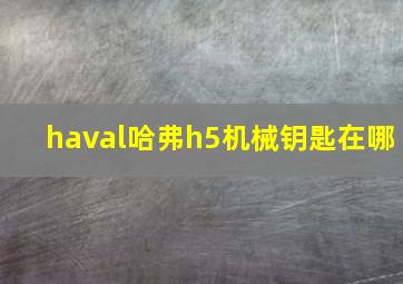 haval哈弗h5机械钥匙在哪