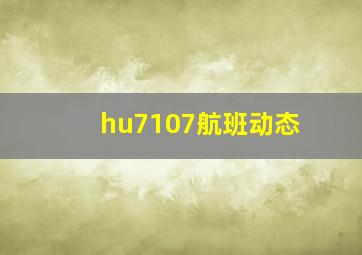 hu7107航班动态