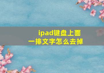 ipad键盘上面一排文字怎么去掉