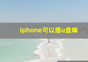 iphone可以插u盘嘛