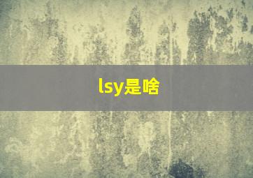 lsy是啥