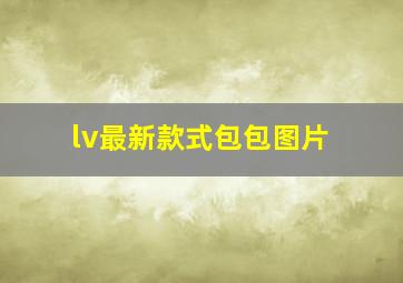 lv最新款式包包图片