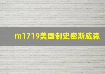 m1719美国制史密斯威森