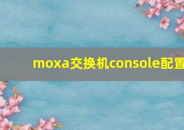 moxa交换机console配置