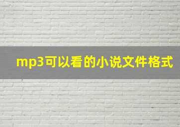 mp3可以看的小说文件格式