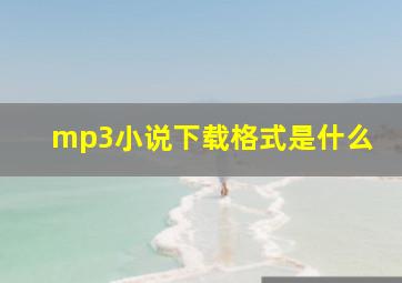 mp3小说下载格式是什么