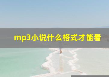 mp3小说什么格式才能看