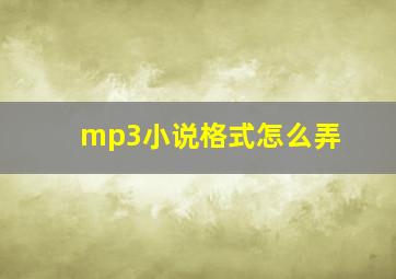 mp3小说格式怎么弄