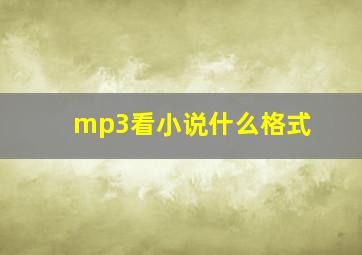 mp3看小说什么格式