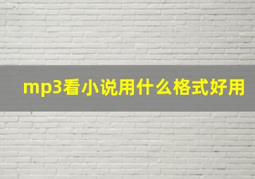 mp3看小说用什么格式好用