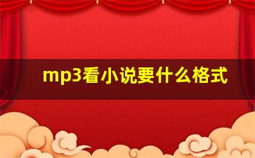 mp3看小说要什么格式