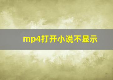 mp4打开小说不显示