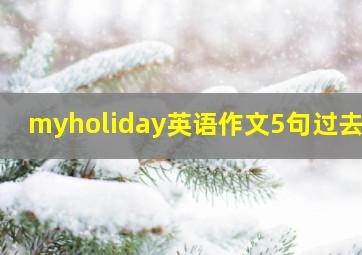 myholiday英语作文5句过去式