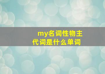 my名词性物主代词是什么单词