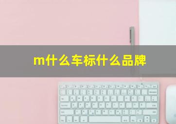 m什么车标什么品牌