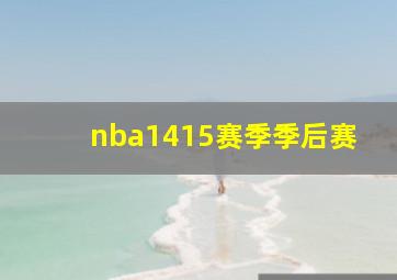 nba1415赛季季后赛