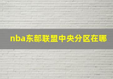 nba东部联盟中央分区在哪