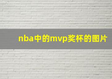 nba中的mvp奖杯的图片