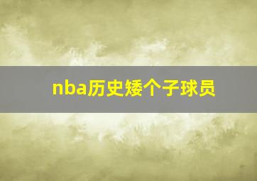 nba历史矮个子球员