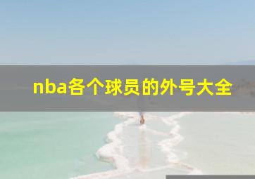 nba各个球员的外号大全