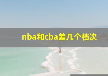 nba和cba差几个档次