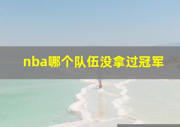 nba哪个队伍没拿过冠军