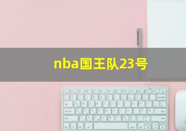 nba国王队23号