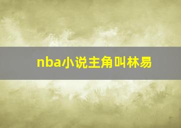 nba小说主角叫林易