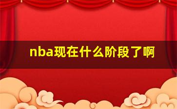 nba现在什么阶段了啊