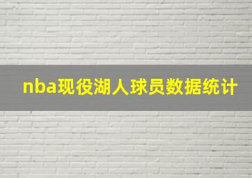 nba现役湖人球员数据统计