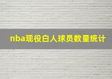 nba现役白人球员数量统计