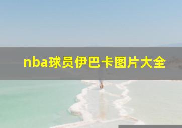 nba球员伊巴卡图片大全